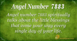 7883 angel number