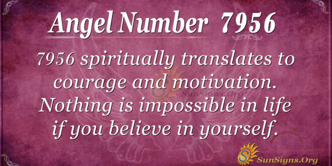 7956 angel number