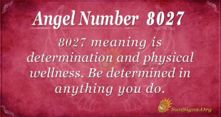 8027 angel number
