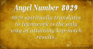 8029 angel number