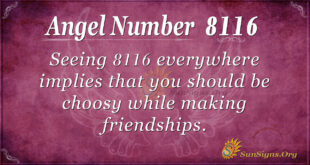 8116 angel number