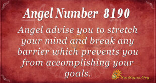 8190 angel number