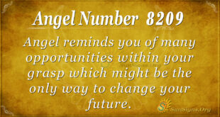 8209 angel number