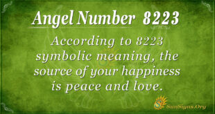 8223 angel number