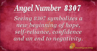 8307 angel number