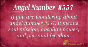 8557 angel number