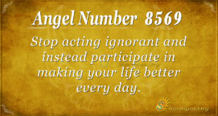 8569 angel number