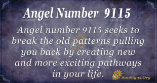 9115 angel number