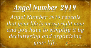 2919 angel number