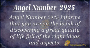 2925 angel number