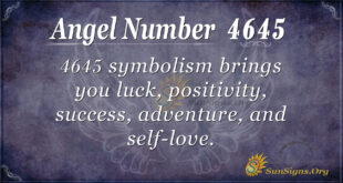 4645 angel number