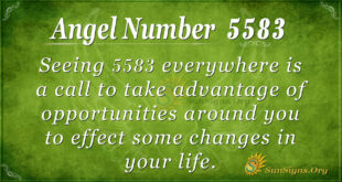 5583 angel number