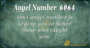 6064 angel number