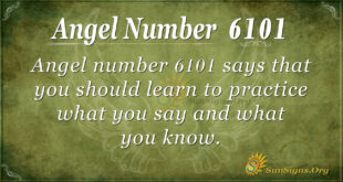 6101 angel number