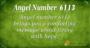 6113 angel number
