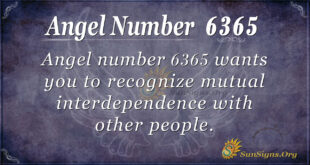 6365 angel number