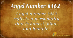 6462 angel number