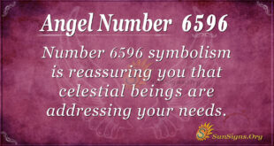 6596 angel number