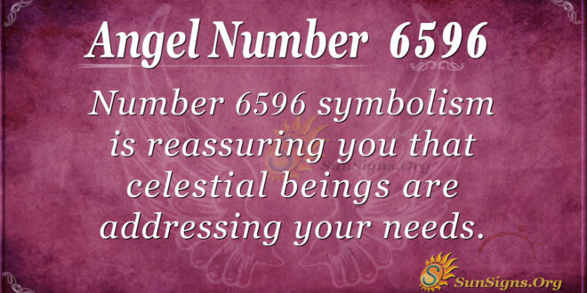 6596 angel number