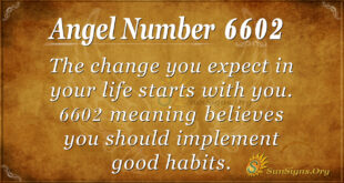 6602 angel number