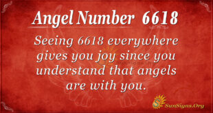6618 angel number