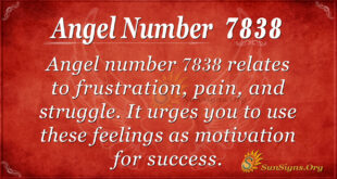 7838 angel number