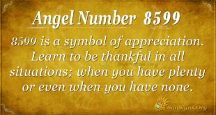 8599 angel number