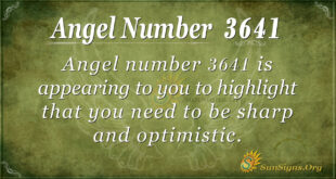 3641 angel number