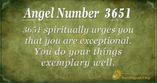 3651 angel number