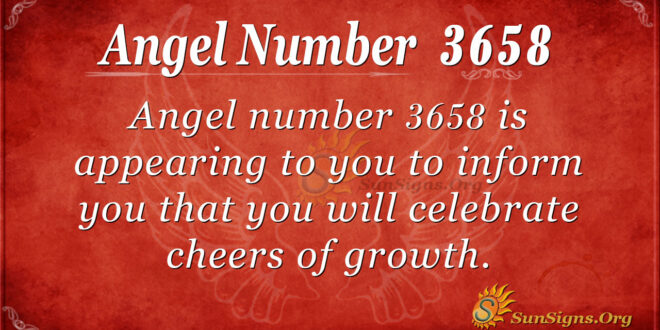 3658 angel number