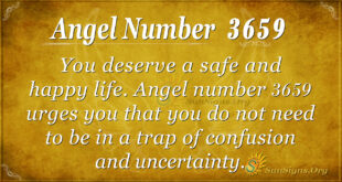 3659 angel number