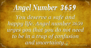 3659 angel number