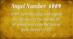 4009 angel number
