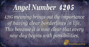 4205 angel number