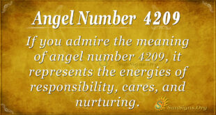 4209 angel number