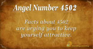 4502 angel number