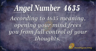 4635 angel number