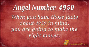 4950 angel number