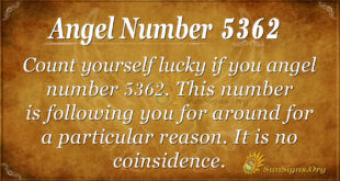 5362 angel number