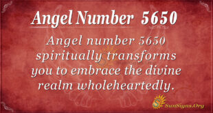 5650 angel number