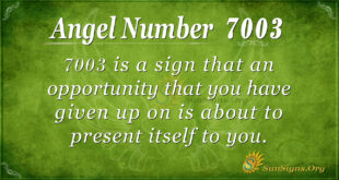 7003 angel number