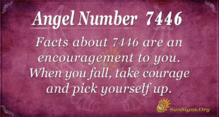 7446 angel number