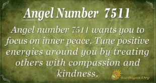 7511 angel number