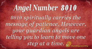 8010 angel number