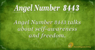 8443 angel number