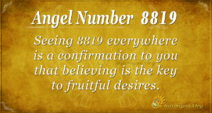 8819 angel number
