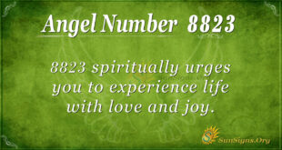 8823 angel number