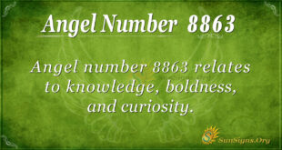 8863 angel number