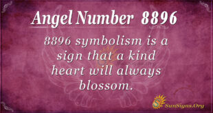 8896 angel number