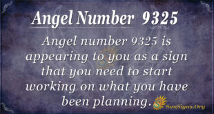 9325 angel number